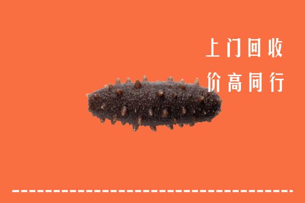 黔西南高价回收海参