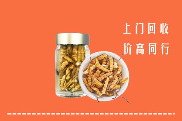 高价求购：黔西南回收冬虫夏草